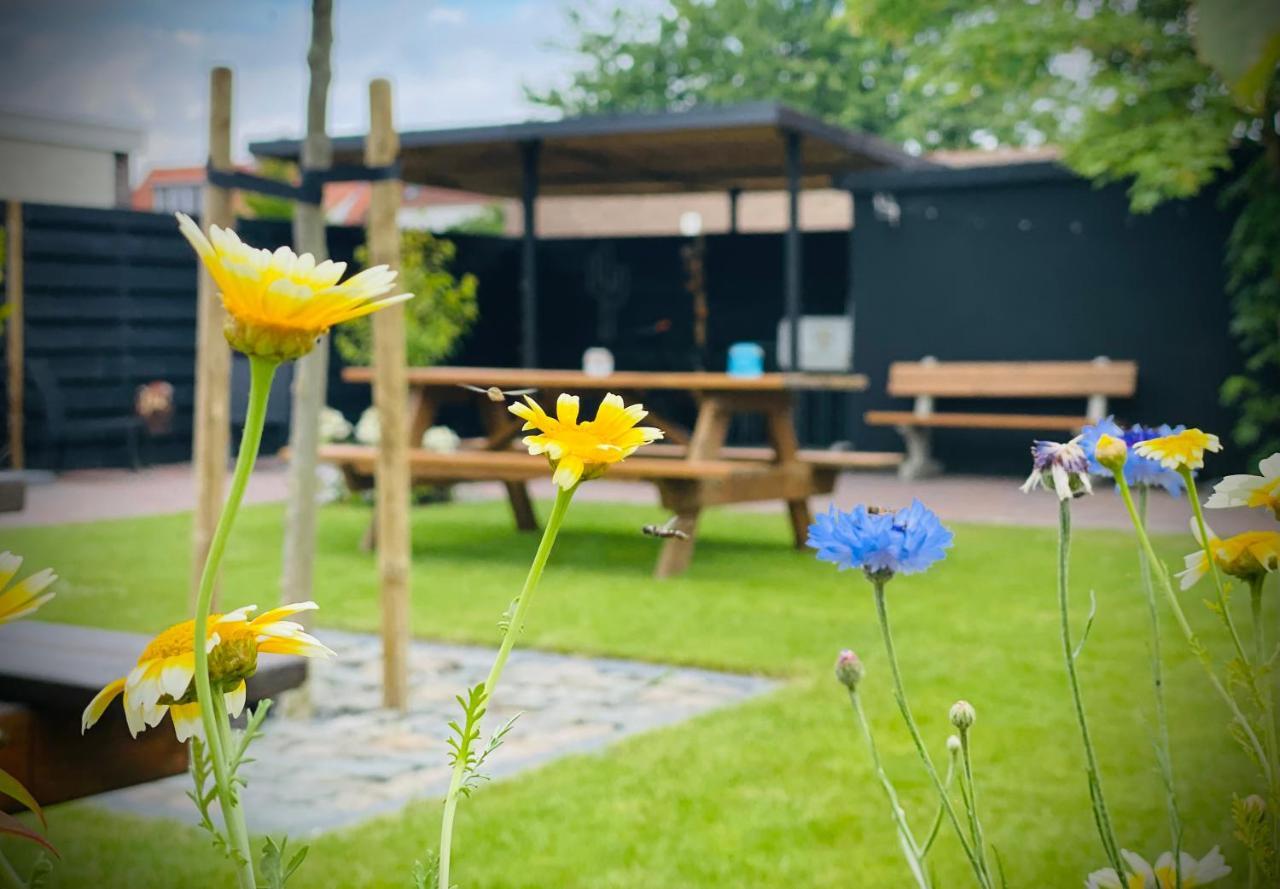 Flamingo Studio'S Zeeland Schoondijke Eksteriør bilde