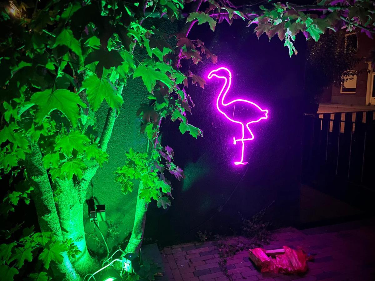 Flamingo Studio'S Zeeland Schoondijke Eksteriør bilde